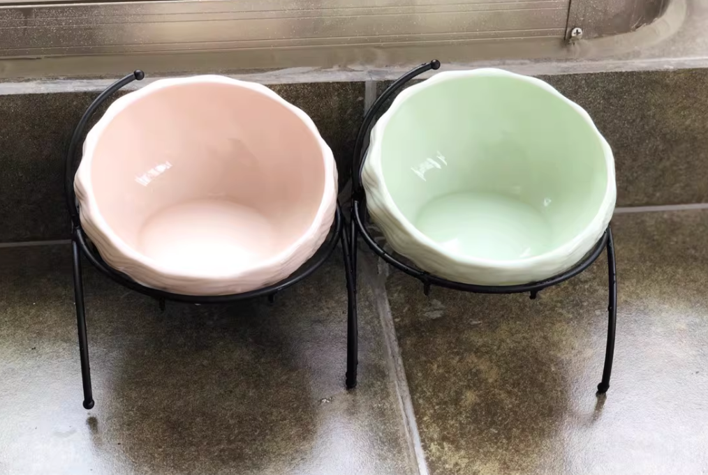Elevated Cat and Dog Bowls with Slant Design