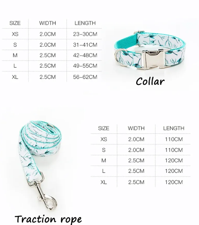 Pet Leash