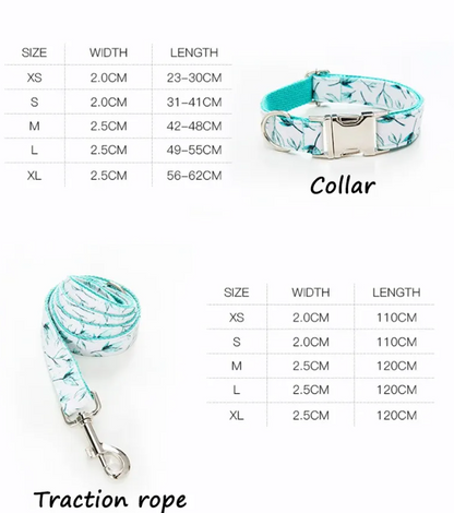 Pet Leash