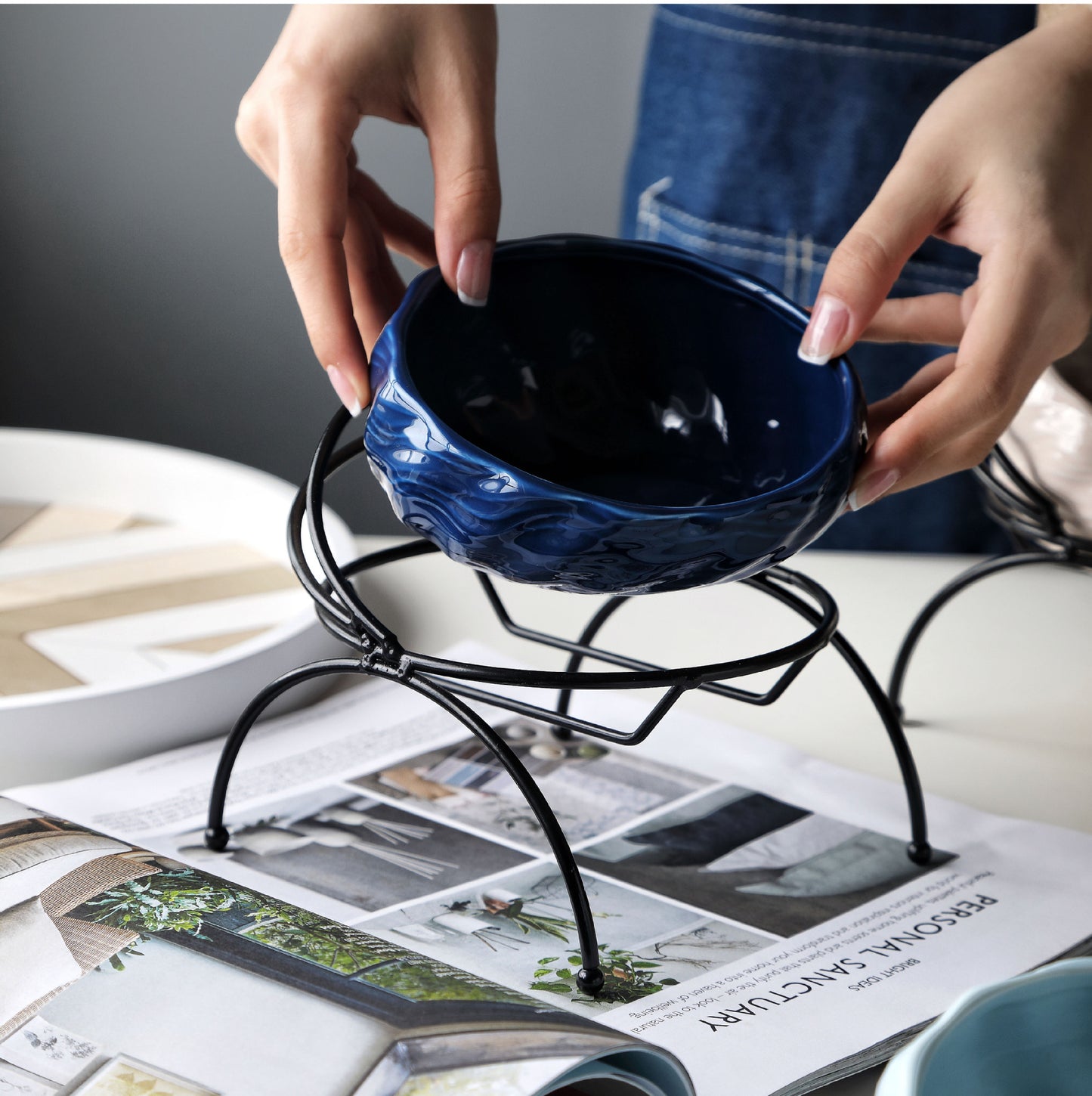 Elevated Cat and Dog Bowls with Slant Design