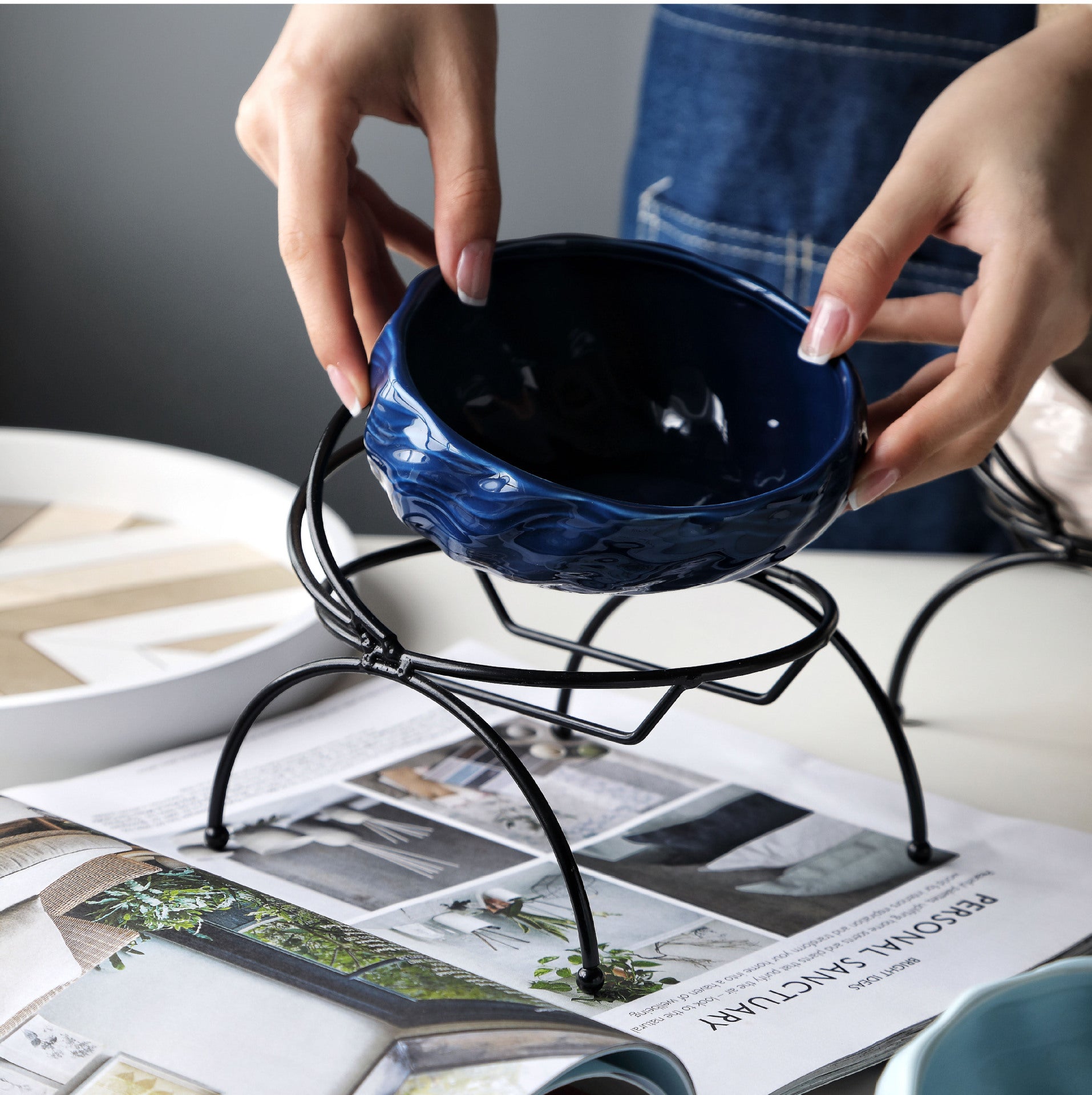 Elevated Cat and Dog Bowls with Slant Design