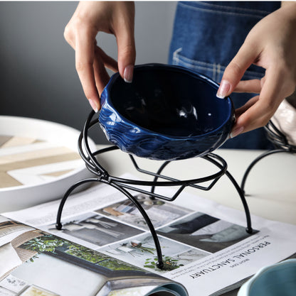 Elevated Cat and Dog Bowls with Slant Design