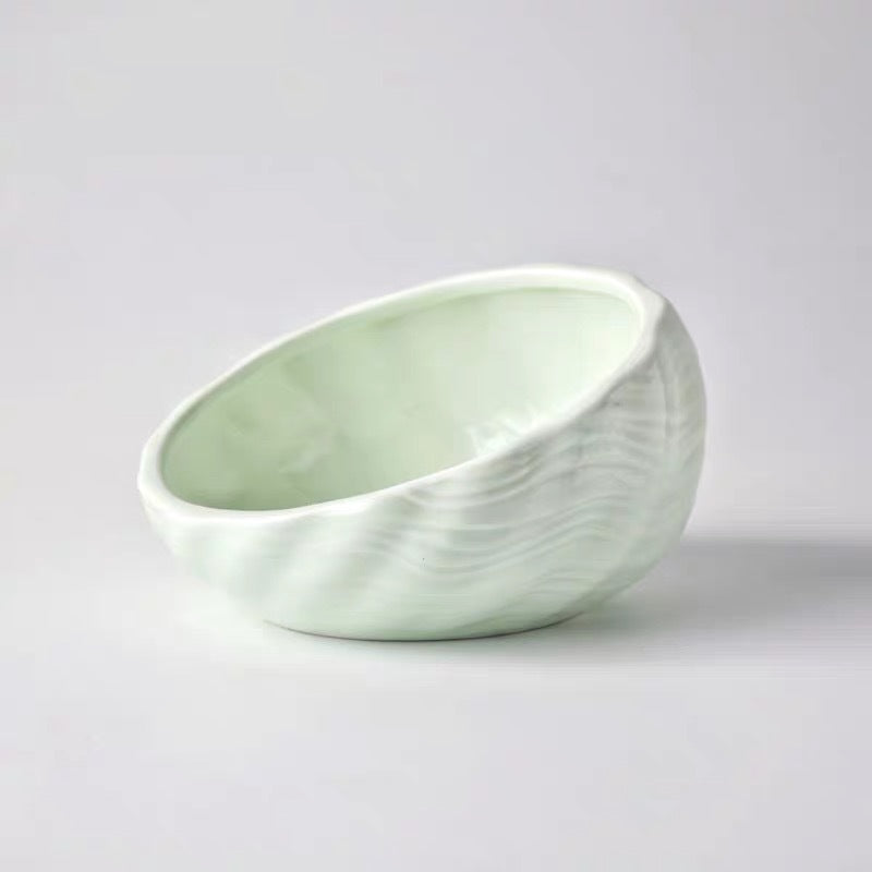 Elevated Cat and Dog Bowls with Slant Design