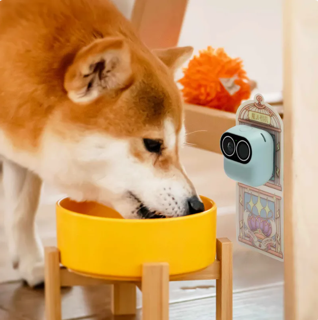 Smart Fashion Camera