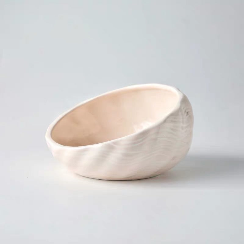Elevated Cat and Dog Bowls with Slant Design