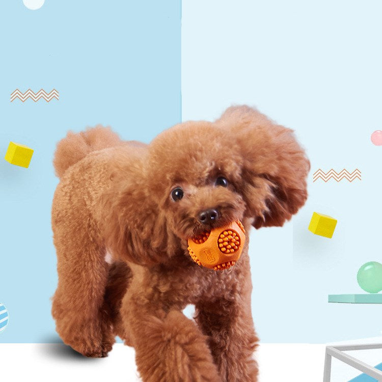 Chew-Whistle Fun Ball