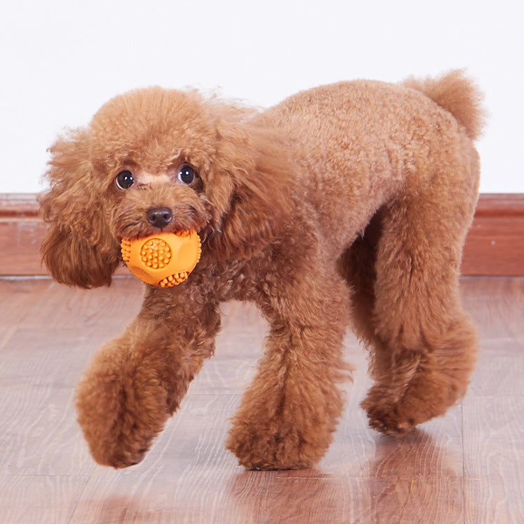 Chew-Whistle Fun Ball