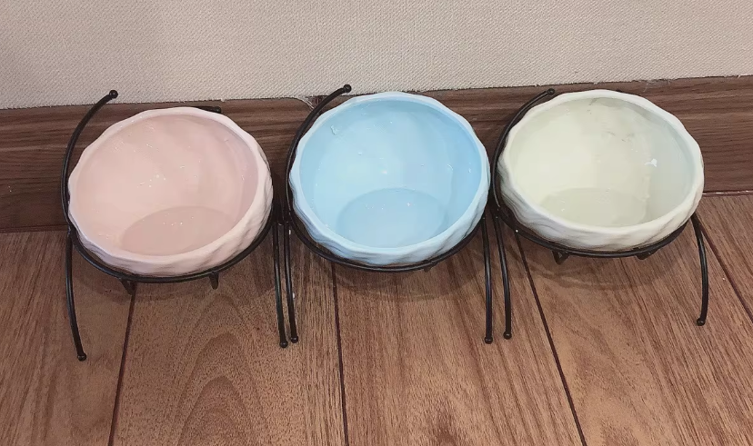 Elevated Cat and Dog Bowls with Slant Design