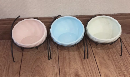 Elevated Cat and Dog Bowls with Slant Design