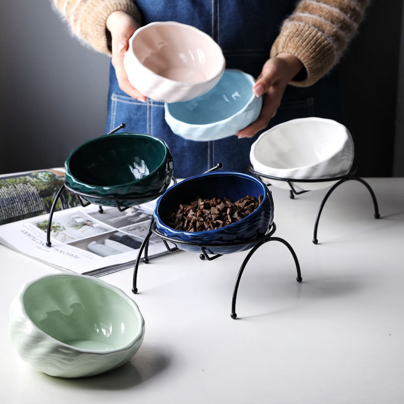 Elevated Cat and Dog Bowls with Slant Design