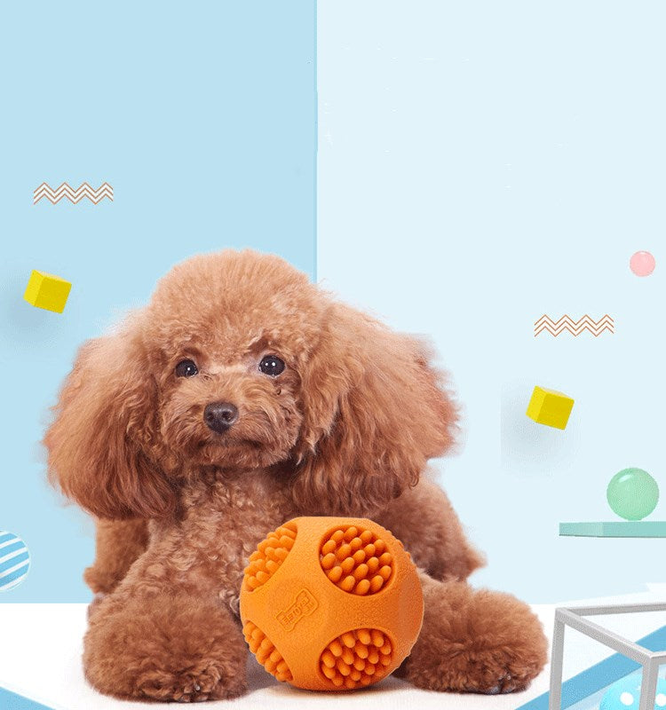 Chew-Whistle Fun Ball