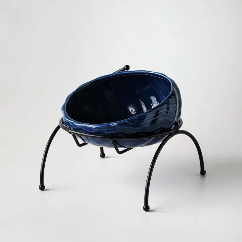 Elevated Cat and Dog Bowls with Slant Design