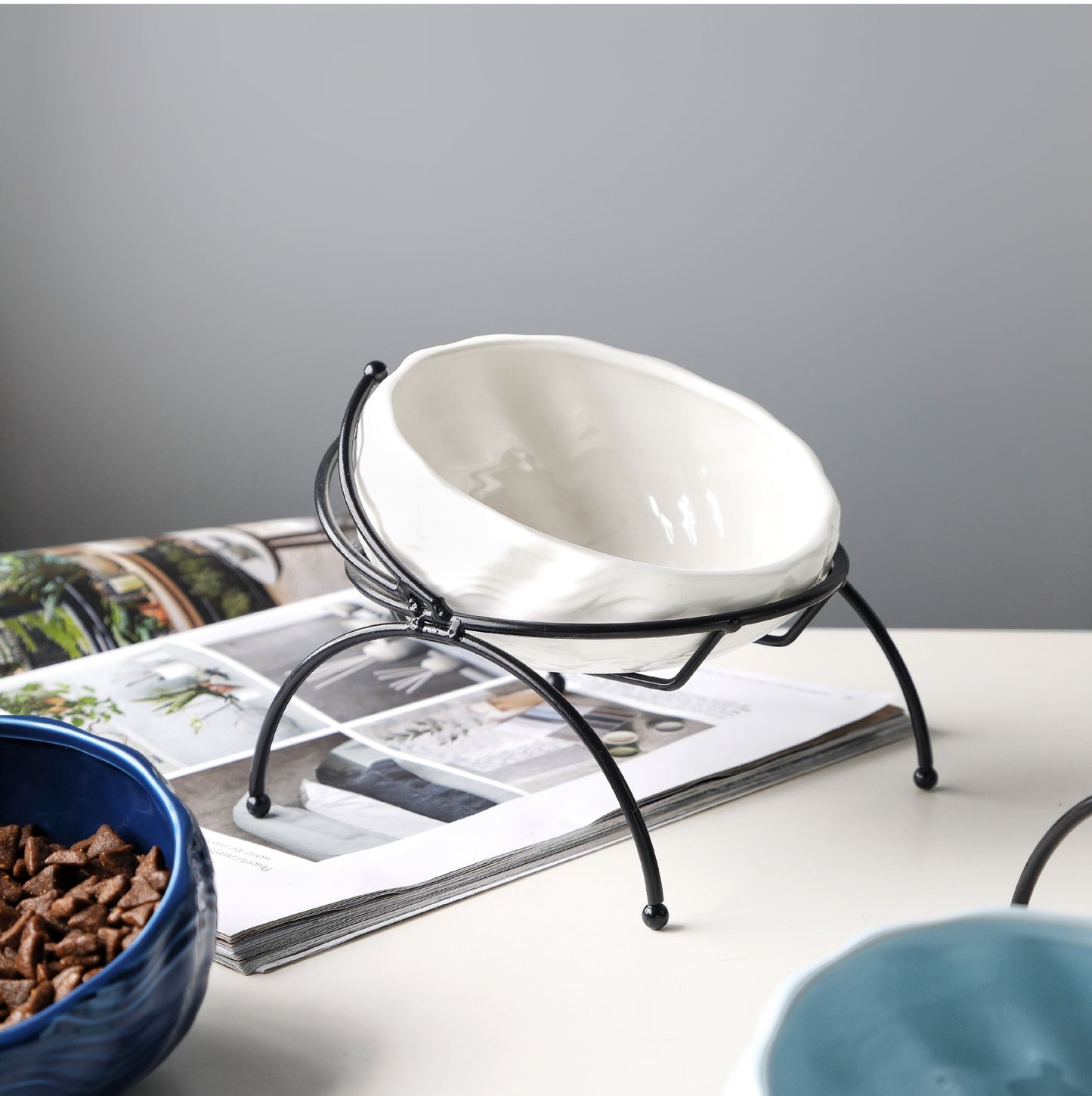 Elevated Cat and Dog Bowls with Slant Design