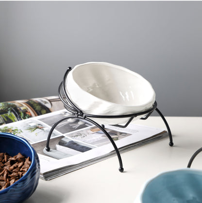 Elevated Cat and Dog Bowls with Slant Design