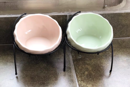 Elevated Cat and Dog Bowls with Slant Design