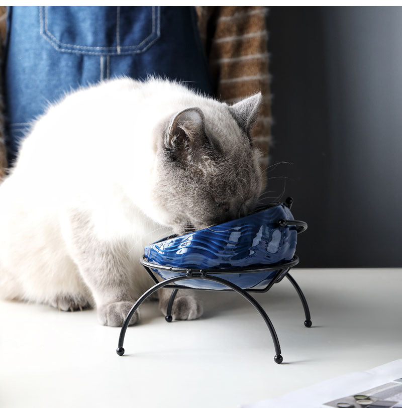 Elevated Cat and Dog Bowls with Slant Design